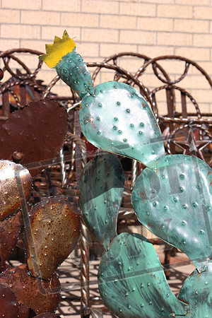 Western and Cowboy Images and Themes