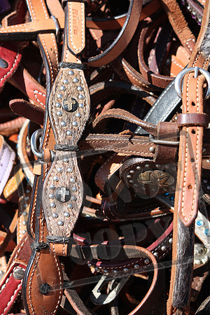 Western and Cowboy Images and Themes