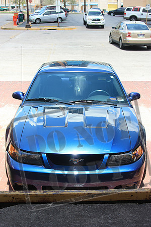 My 2004 Mystichrome Cobra