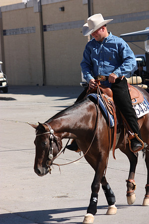 Fort Worth Texas Appaloosa Show Scenes