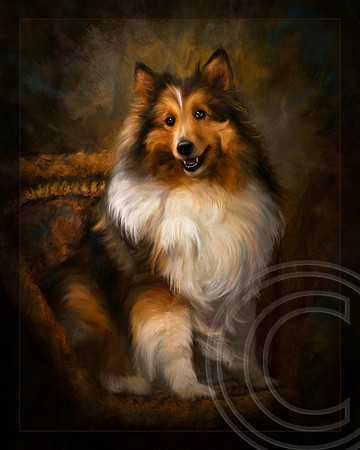 Ginny , IPC General Collection 8/2014 Merit Score of 83 Distinguished print Ribbon at Kerrville 2013