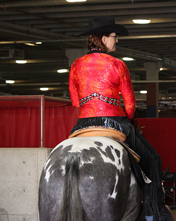 Fort Worth Texas Appaloosa Show Scenes