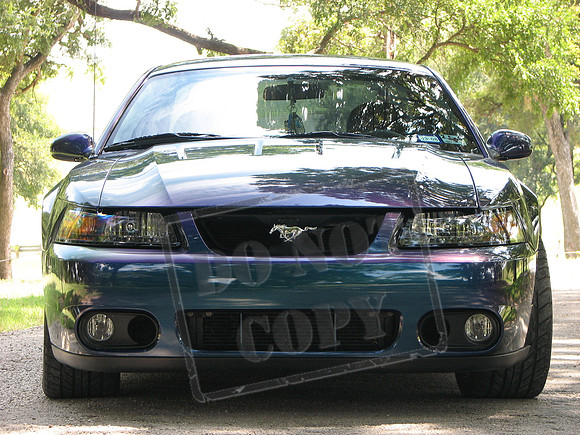 My 2004 Mystichrome Cobra