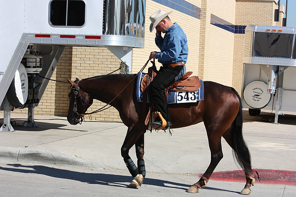 Fort Worth Texas Appaloosa Show Scenes
