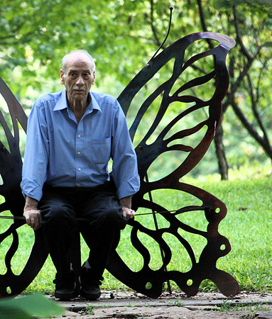 Butterfly man