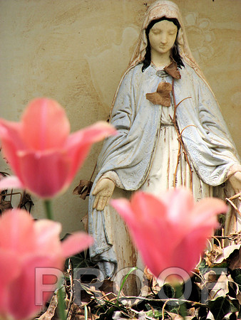 Madonna with tulips 4