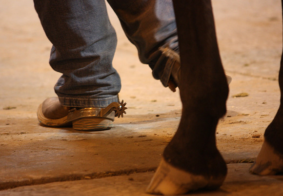 Fort Worth Texas Appaloosa Show Scenes