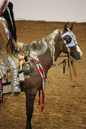 American Indian Heritage Riders