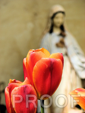 Madonna with tulips 3