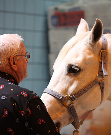 Fort Worth Texas Appaloosa Show Scenes