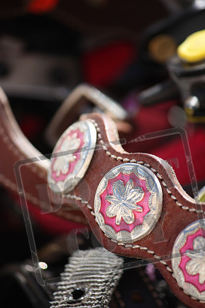 Western and Cowboy Images and Themes