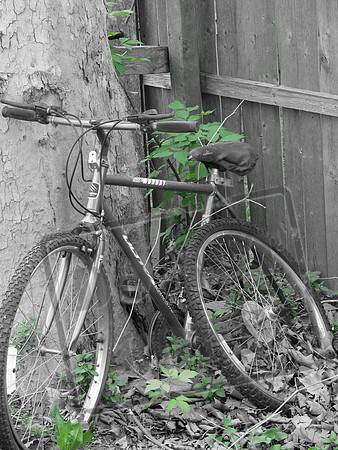 Artistic look at Bicycles