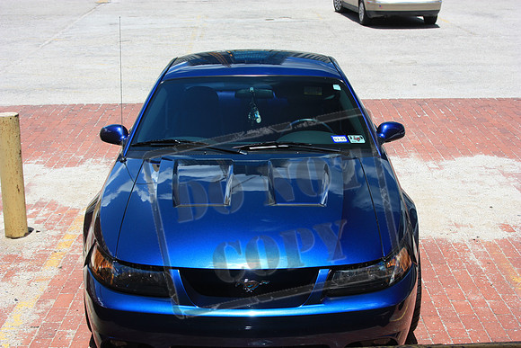 My 2004 Mystichrome Cobra