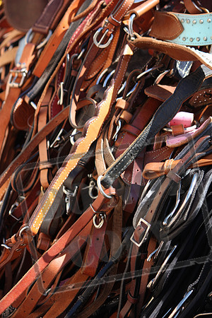 Western and Cowboy Images and Themes