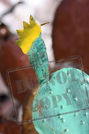 Western and Cowboy Images and Themes