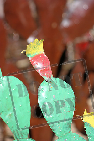 Western and Cowboy Images and Themes